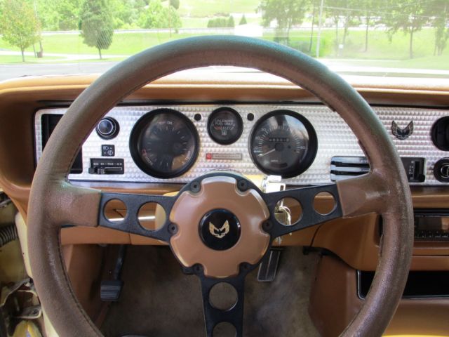 1980 Pontiac Firebird yellow bird - photo 10