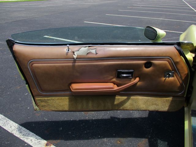 1980 Pontiac Firebird yellow bird - photo 6