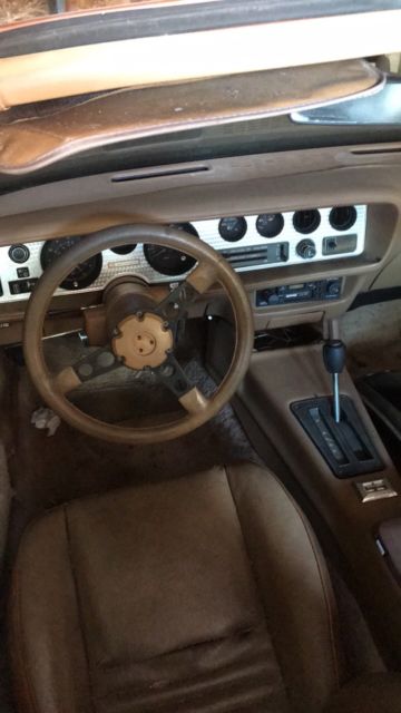 1980 Pontiac Firebird - photo 2