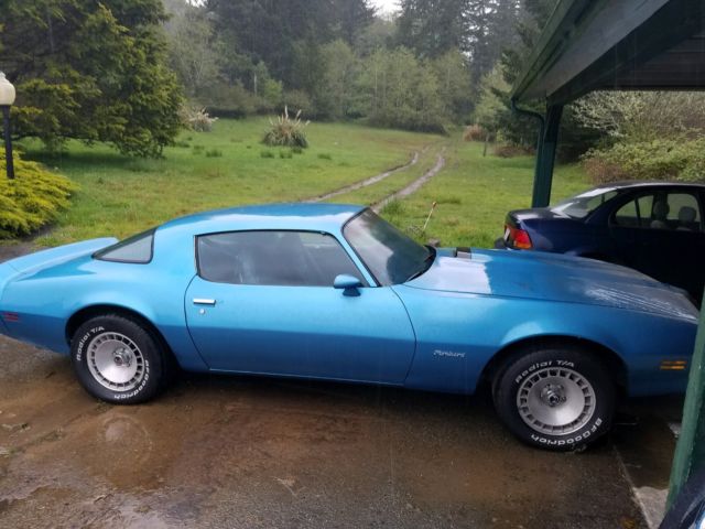 1980 Pontiac Firebird - photo 6