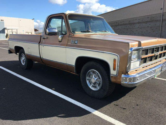 1980 GMC Sierra 1500 Royal Sierra - photo 3