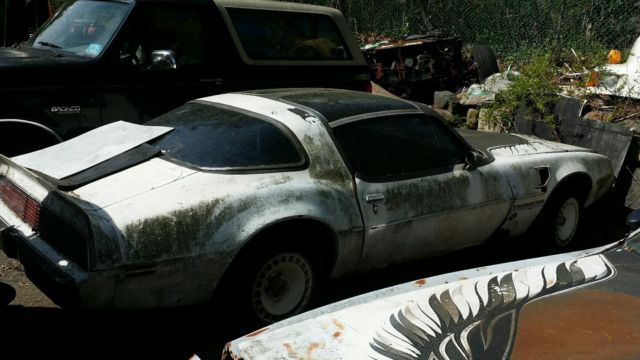 1980 Pontiac Trans Am - photo 3