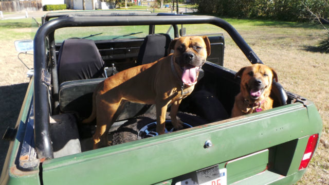 1980 International Harvester Scout - photo 12
