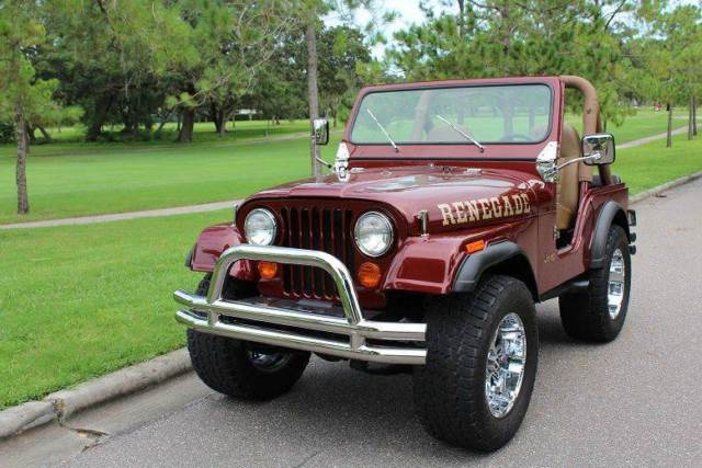 1980 Jeep CJ Custom - photo 4