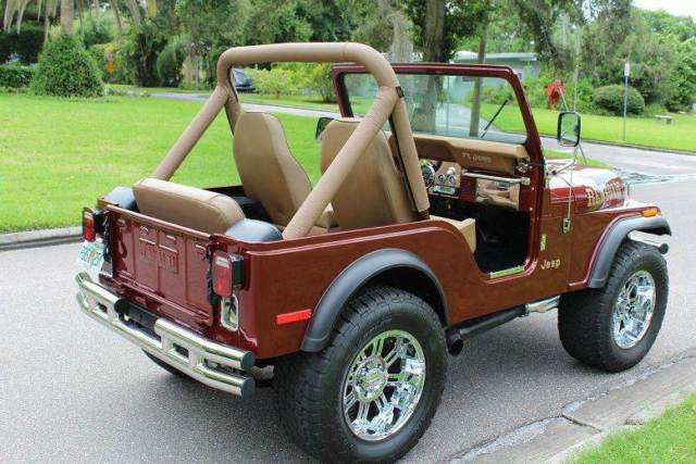 1980 Jeep CJ Custom - photo 9