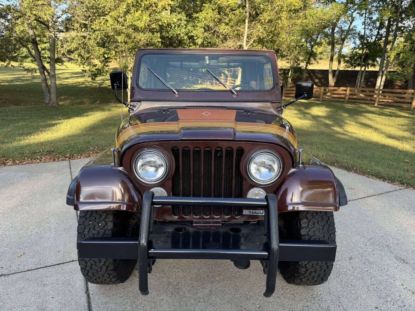 1980 Jeep CJ-7 Renegade - photo 10