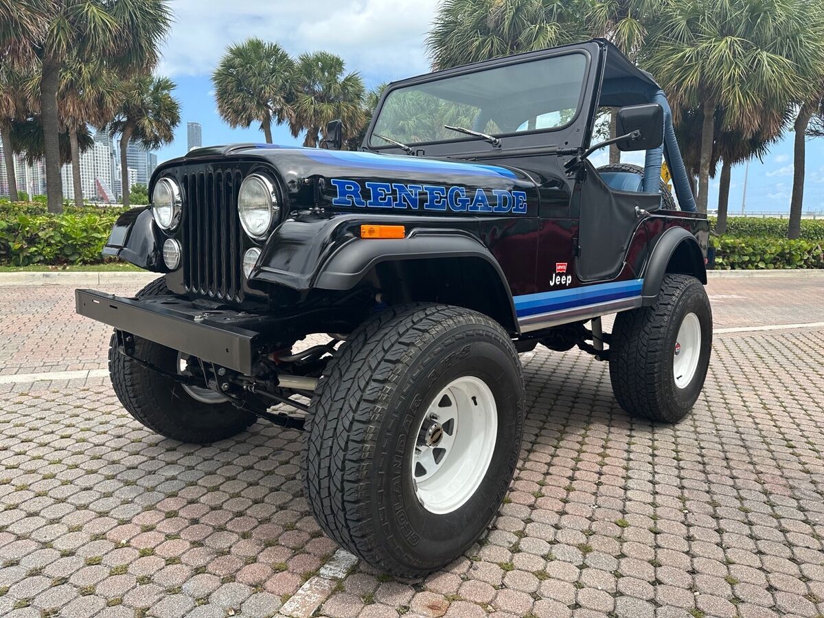 1980 Jeep CJ Renegade LEVI’S - photo 11