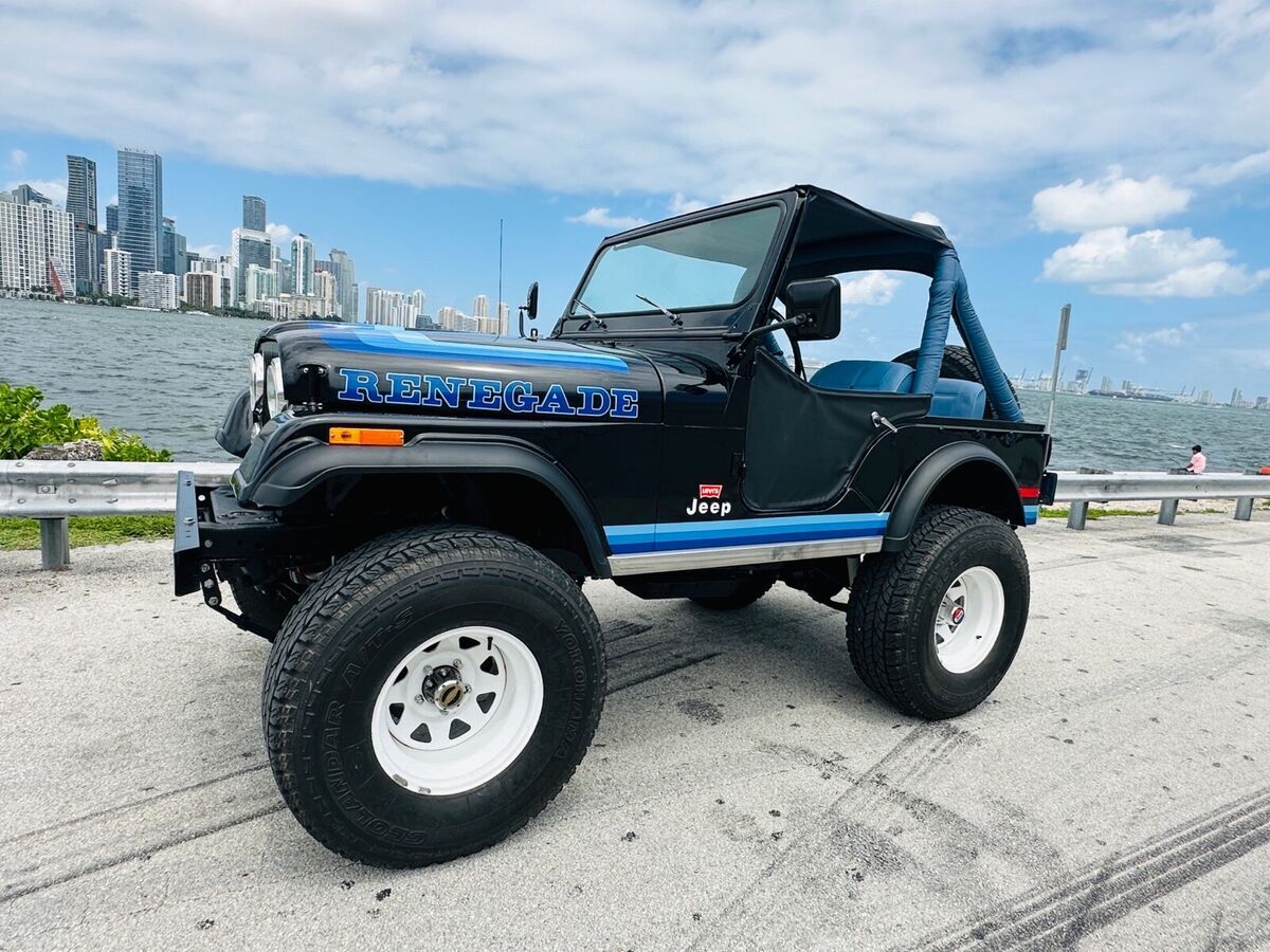 1980 Jeep CJ Renegade LEVI’S - photo 4