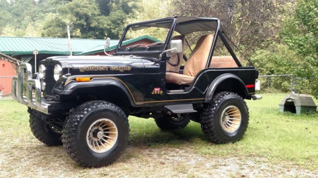 1980 Jeep CJ Golden Eagle - photo 3