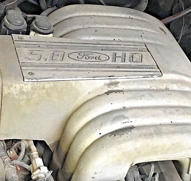 1980 Jeep CJ CJ5 4x4  5.0 V8 4 speed manual - photo 4