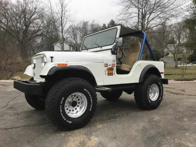 1980 Jeep Wrangler V8 - photo 2