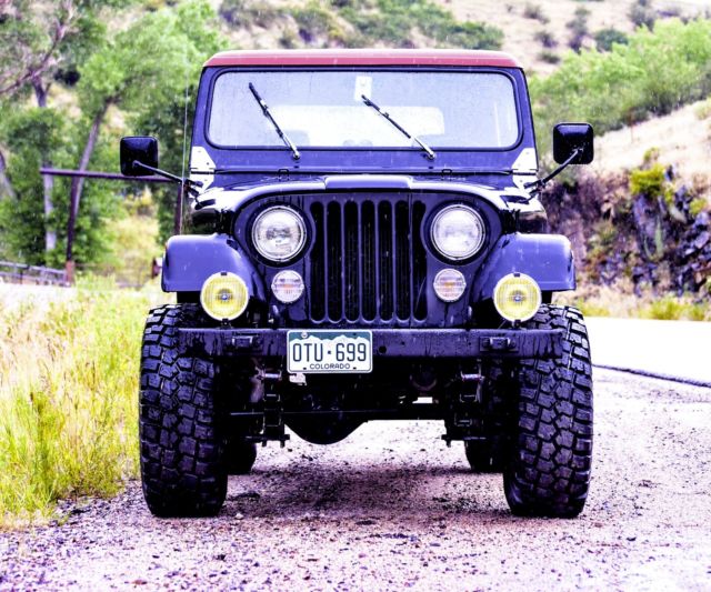 1980 Jeep CJ JEEP CJ 7 - photo 10