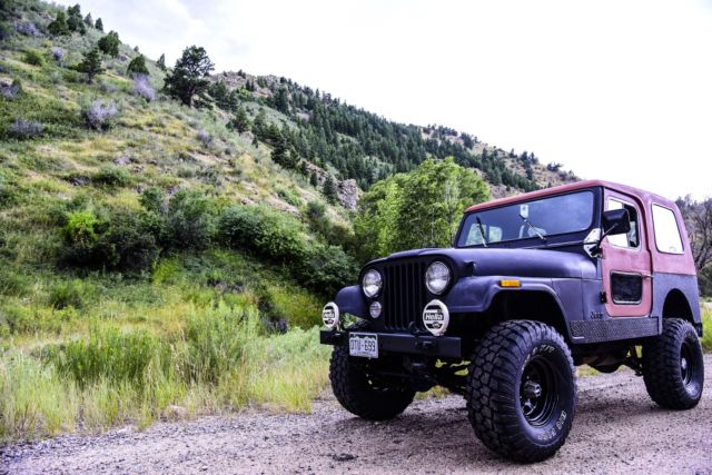 1980 Jeep CJ JEEP CJ 7 - photo 3