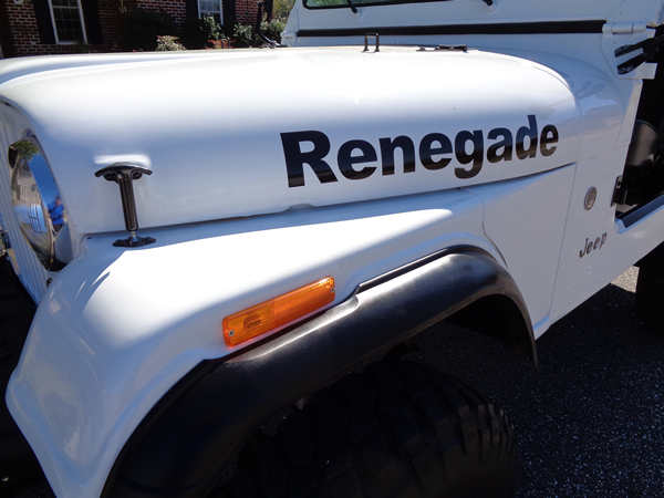 1980 Jeep Other Renegade Sport Utility 2-Door - photo 10