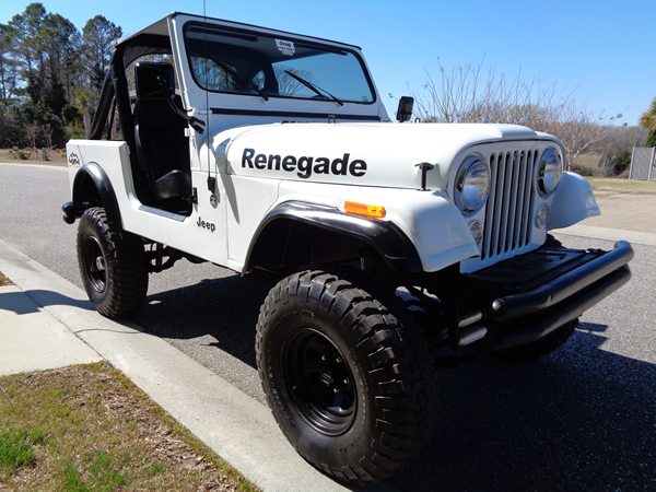 1980 Jeep Other Renegade Sport Utility 2-Door - photo 5