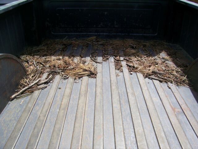 1980 Jeep J10 - photo 5