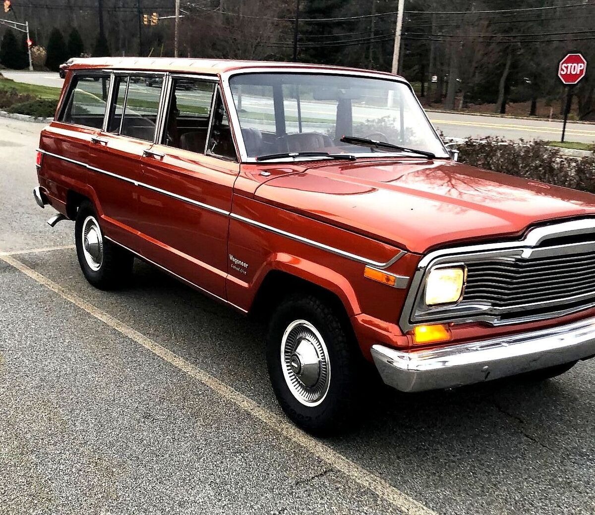 1980 Jeep Wagoneer - photo 10