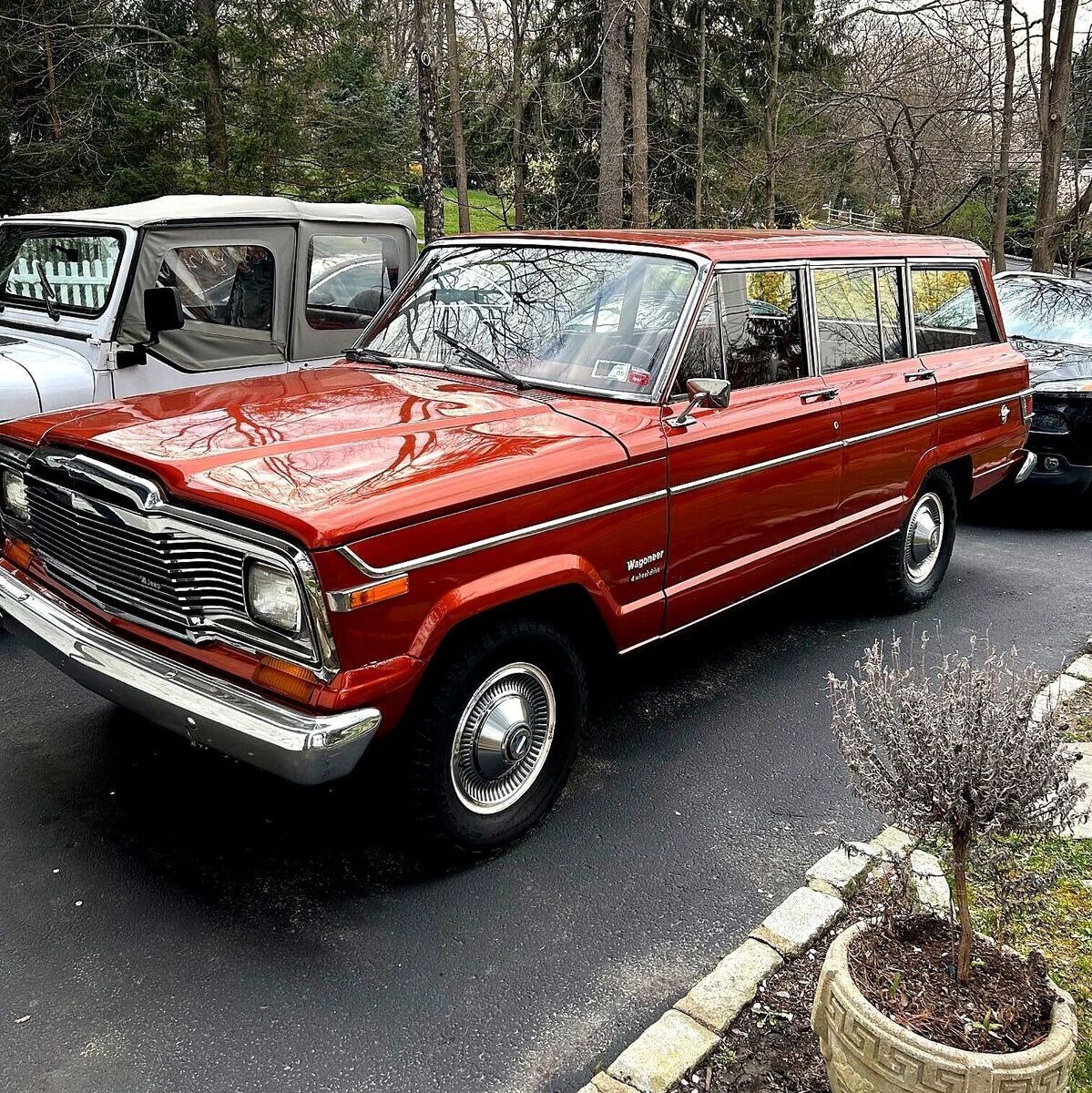 1980 Jeep Wagoneer - photo 2