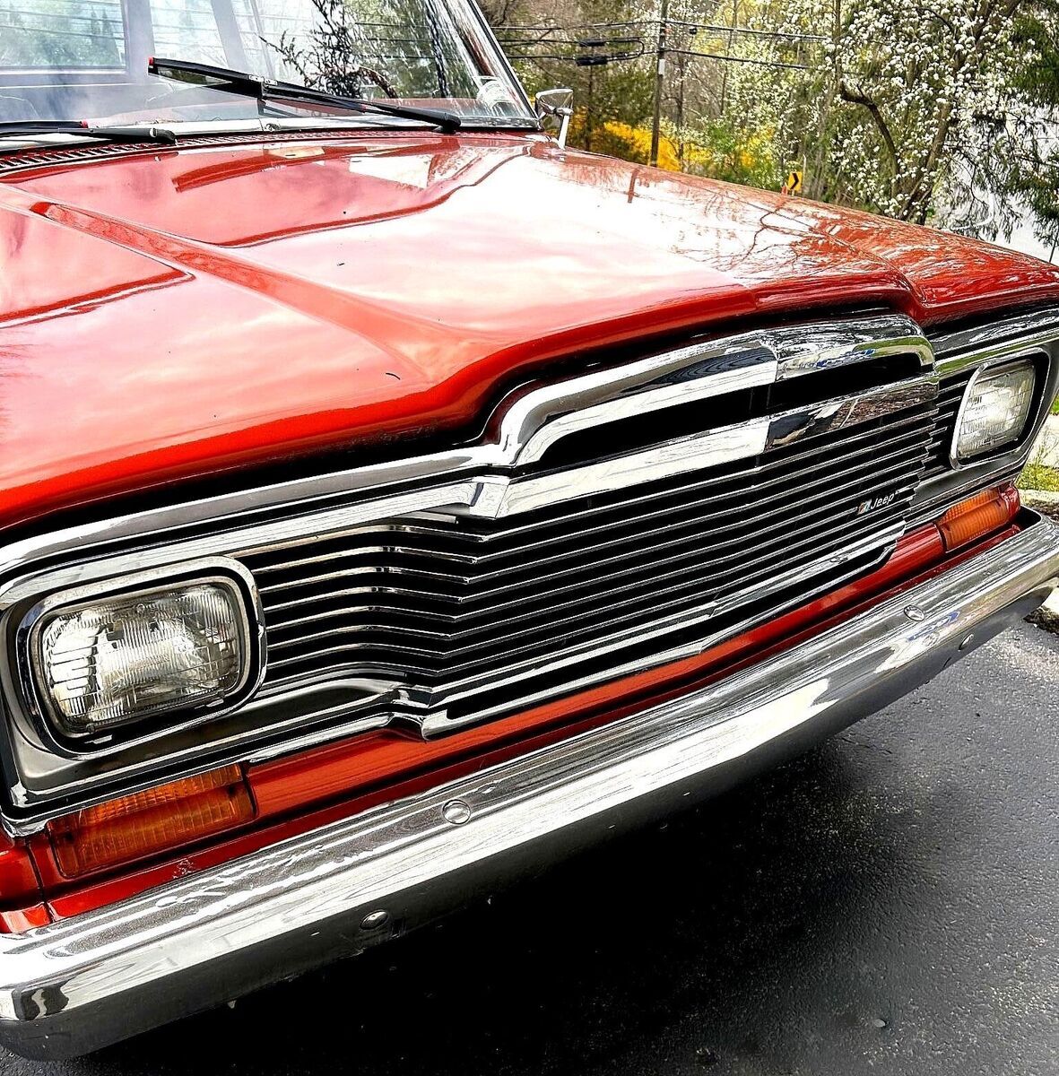 1980 Jeep Wagoneer - photo 8