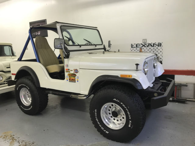 1980 Jeep Wrangler V8 - photo 4