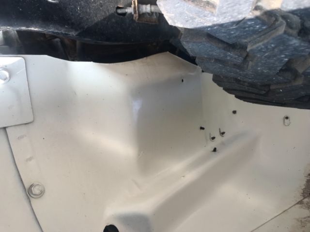 1980 Jeep Wrangler Renegade - photo 10