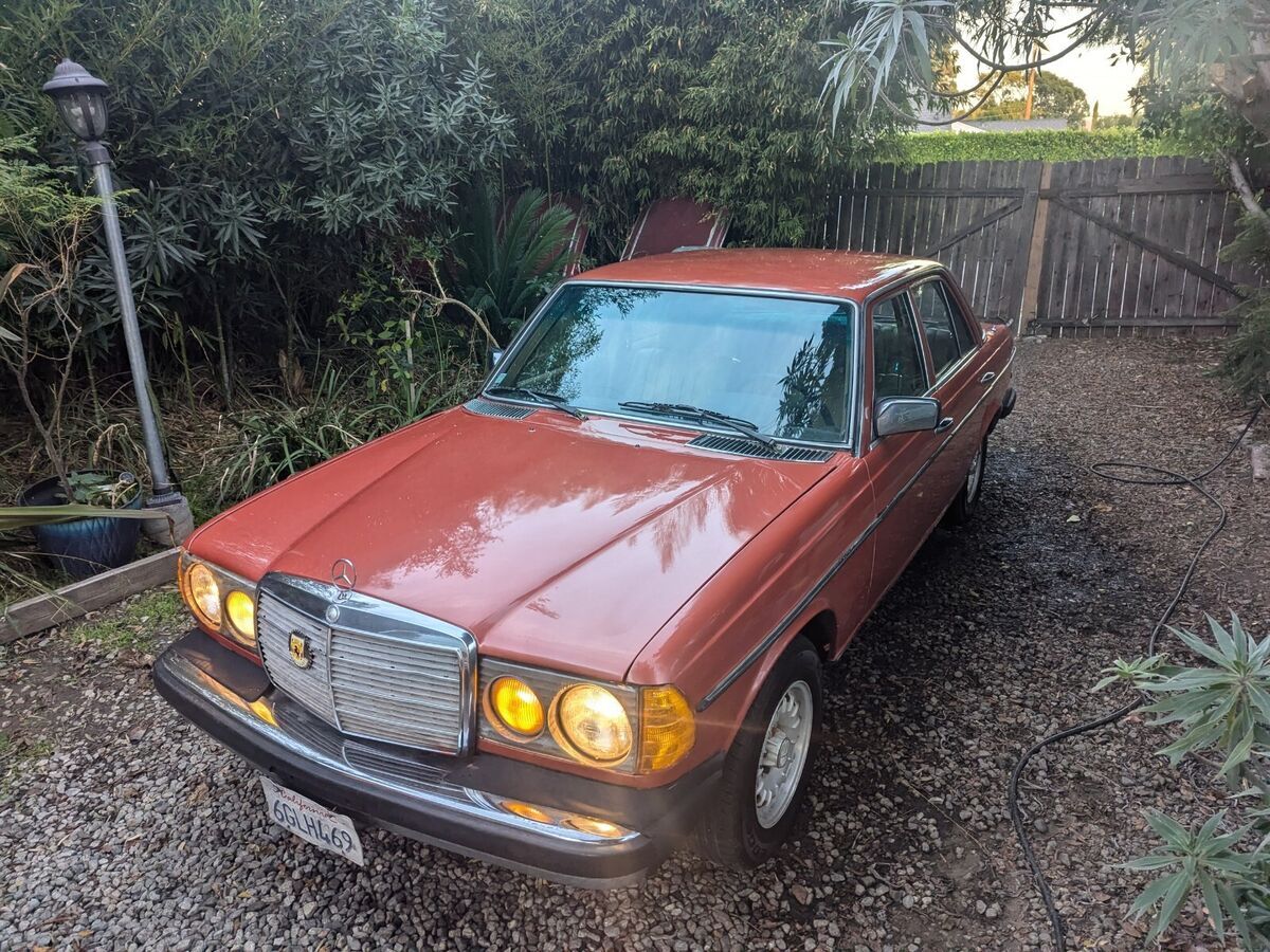 1980 Mercedes-Benz 300-Series - photo 5