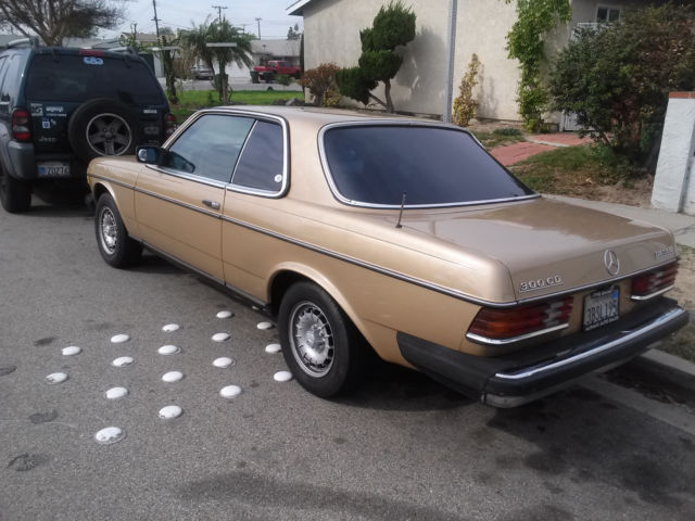 1980 Mercedes-Benz 300-Series - photo 11