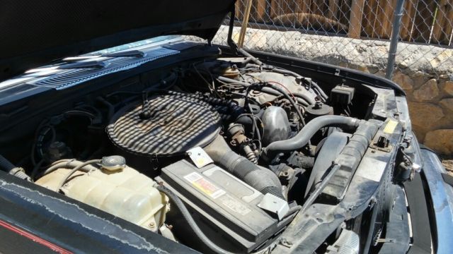 1980 Mercedes-Benz 300-Series - photo 9