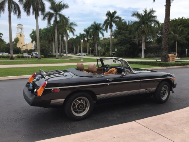 1980 MG MGB LIMITED EDITION - photo 7