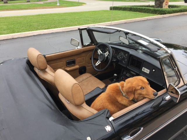 1980 MG MGB LIMITED EDITION - photo 8