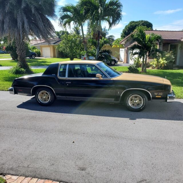 1980 Oldsmobile 442 - photo 3