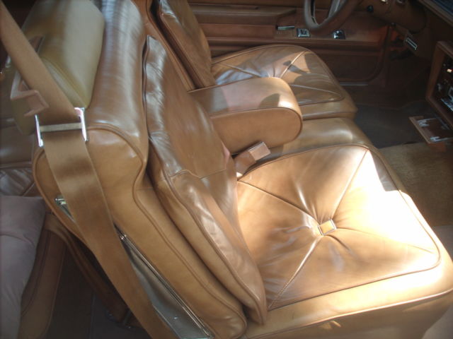 1980 Oldsmobile Cutlass Salon - photo 12
