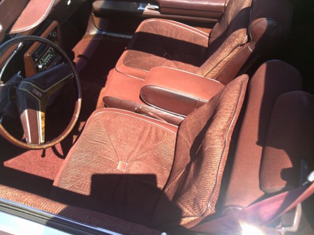 1980 Oldsmobile Cutlass Brougham - photo 10