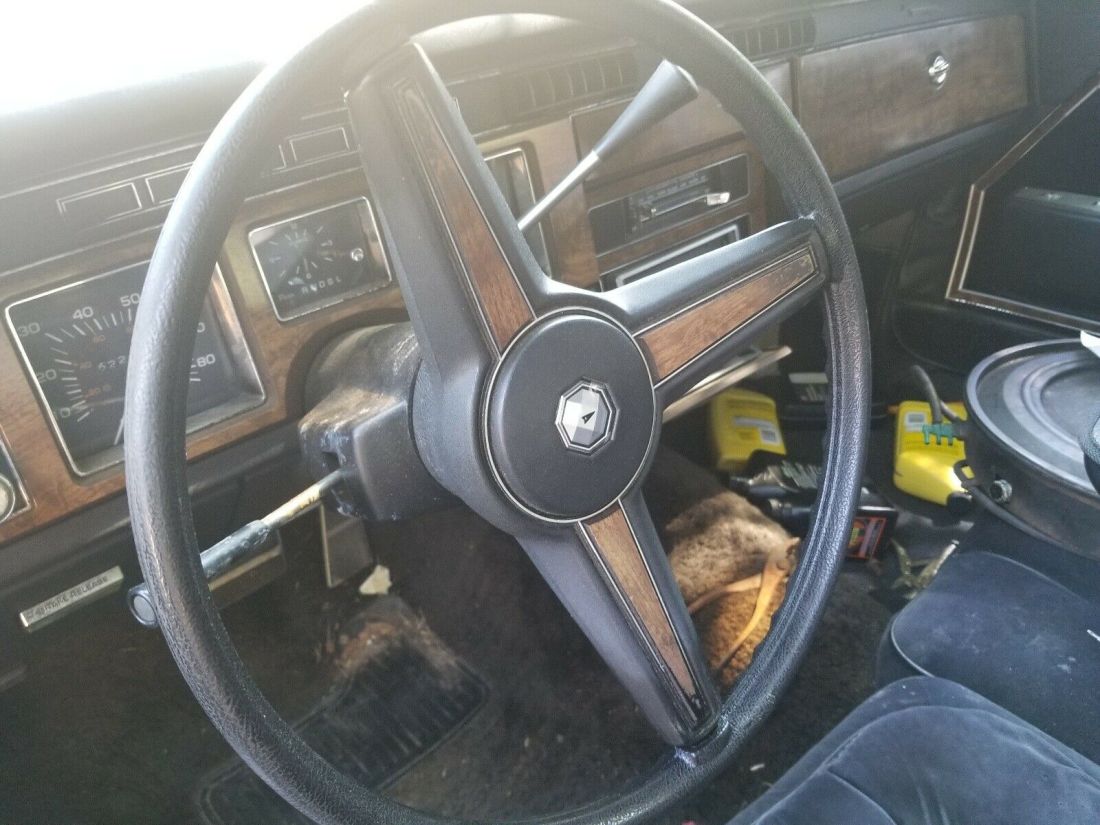 1980 Pontiac Bonneville Brougham - photo 8