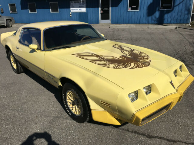 1980 Pontiac Firdbird- Yellow Bird 1980 Pontiac Firebird