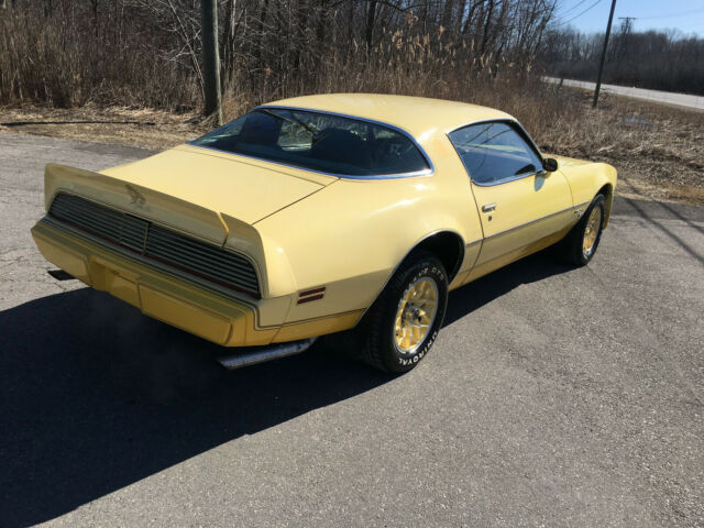 1980 Pontiac Firebird - photo 2