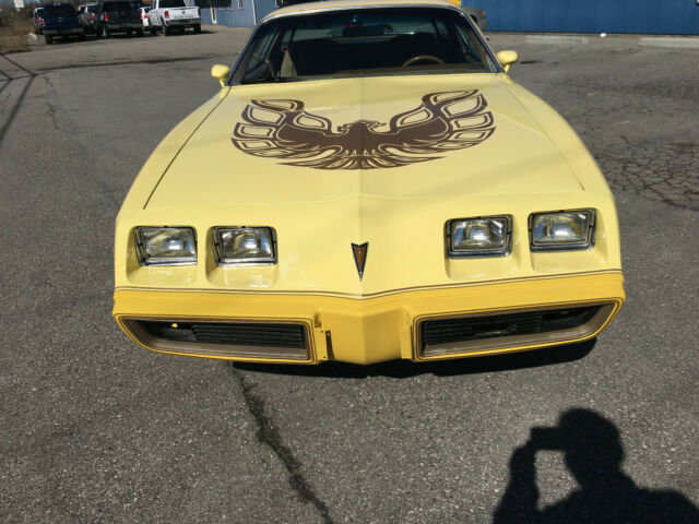 1980 Pontiac Firebird - photo 4
