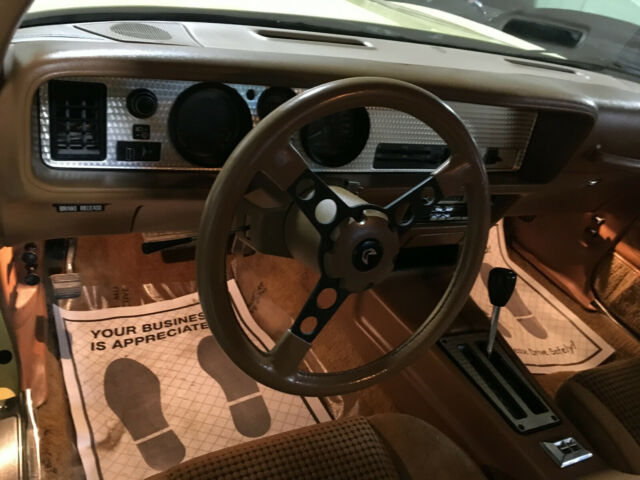 1980 Pontiac Firebird - photo 9