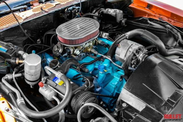 1980 Pontiac Firebird - Video Inside! - photo 10