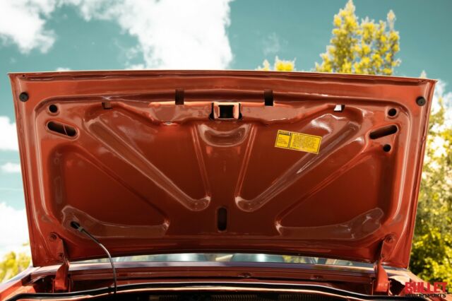 1980 Pontiac Firebird - Video Inside! - photo 12