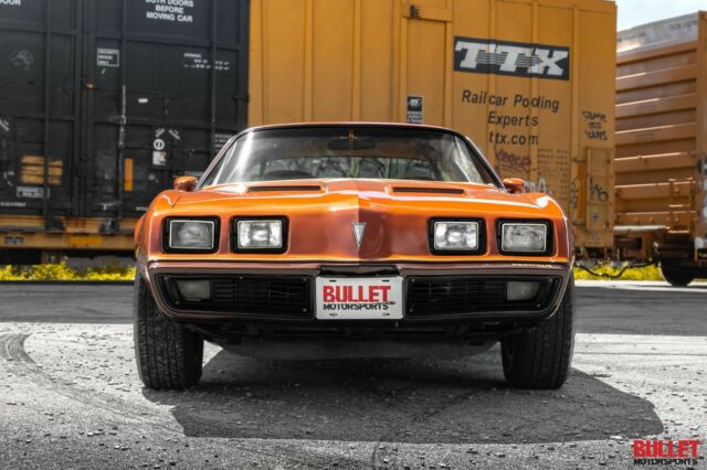 1980 Pontiac Firebird - Video Inside! - photo 2