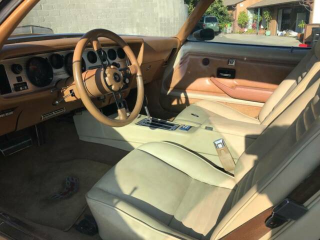 1980 Pontiac Trans Am - photo 10