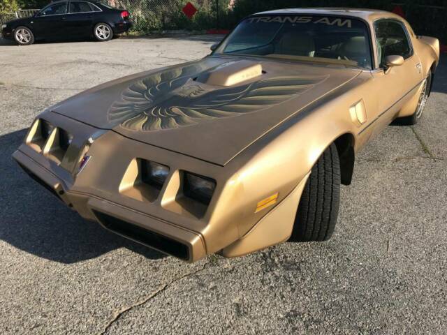 1980 Pontiac Trans Am - photo 3