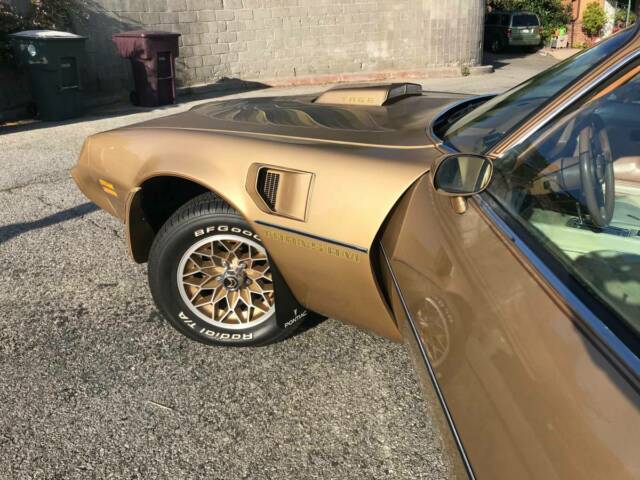 1980 Pontiac Trans Am - photo 5