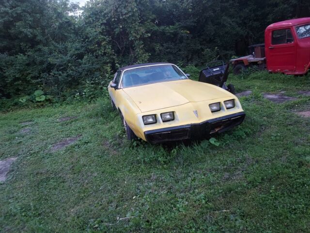 1980 Pontiac Firebird 4.9 Coupe Yellow RWD Automatic Esprit 1980 Pontiac Firebird Esprit