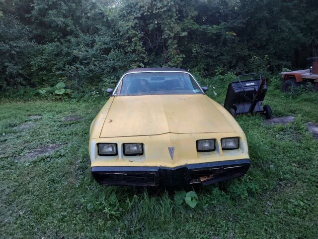 1980 Pontiac Firebird Esprit - photo 2