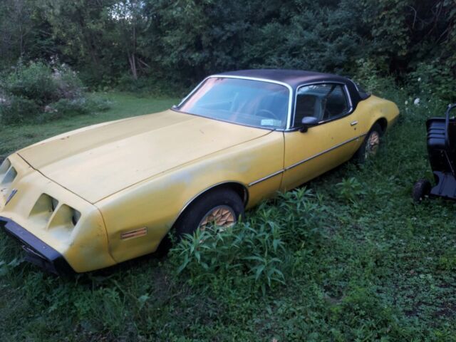 1980 Pontiac Firebird Esprit - photo 4