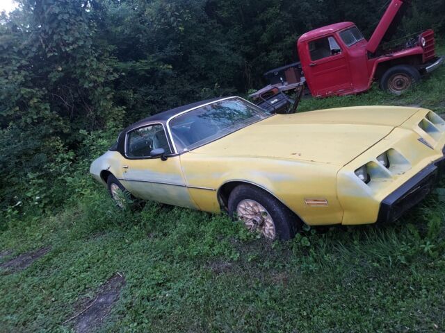 1980 Pontiac Firebird Esprit - photo 5