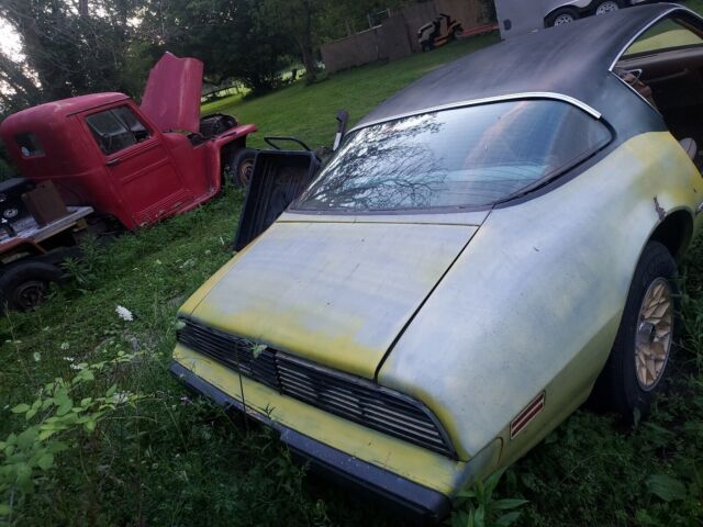 1980 Pontiac Firebird Esprit - photo 7