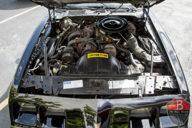1980 Pontiac Firebird -- - photo 10